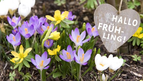 Rezultat iskanja slik za FrÃ¼hling